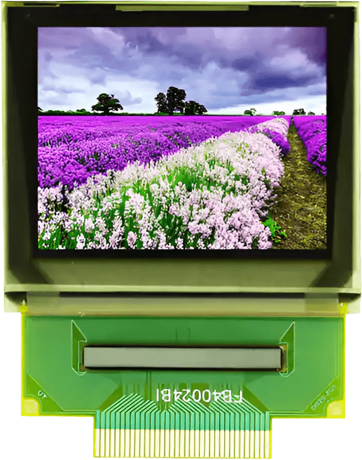 OLED Display
