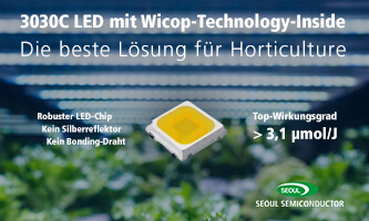 LED 3030C für effiziente LED-Pflanzenbeleuchtung