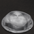 NMO-STELLA-FRESNEL_F14627