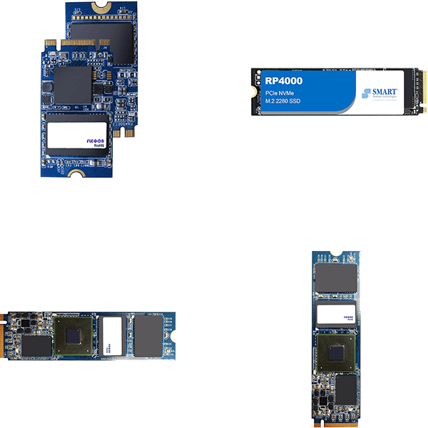 M.2 SSDs (Detail)