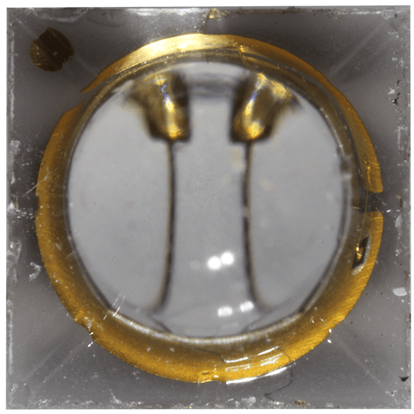 UV-A LEDs